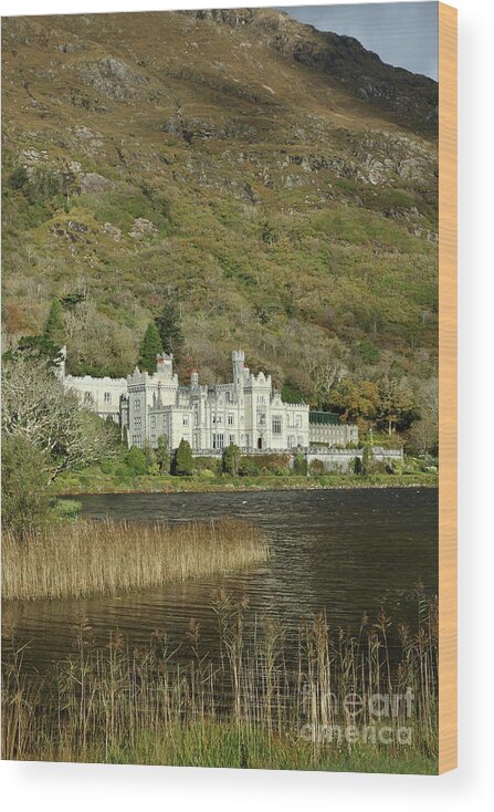 Abbey Castle Lake Mountains Benedictine Monastery Connemara Galway Wildatlanticway Ireland Photography Prints Wood Print featuring the photograph Kylemore Abbey by Peter Skelton