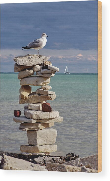 Seagull Wood Print featuring the photograph King of the Cairn - seagull atop cairn with sailboat at Lake Michigan shoreline at Milwaukee by Peter Herman