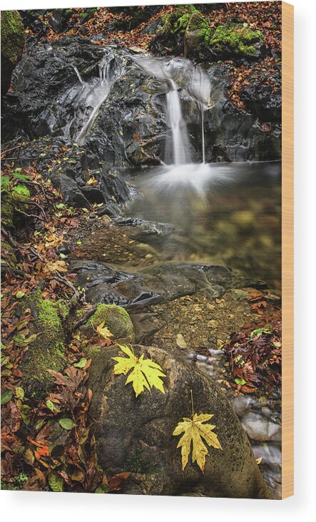 Waterfall Wood Print featuring the photograph Last Bit of Fall by Linda Villers