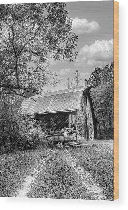 Black Wood Print featuring the photograph Last Flowers of Autumn Black and White by Debra and Dave Vanderlaan