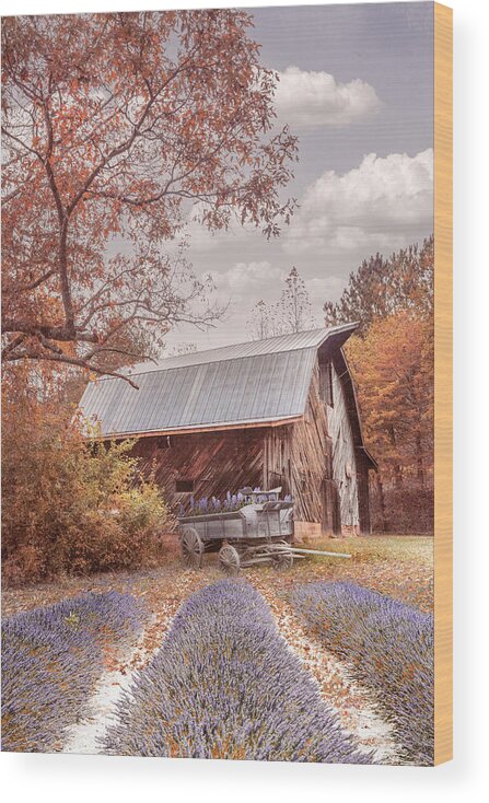 Barns Wood Print featuring the photograph Last Flowers of Country Autumn by Debra and Dave Vanderlaan