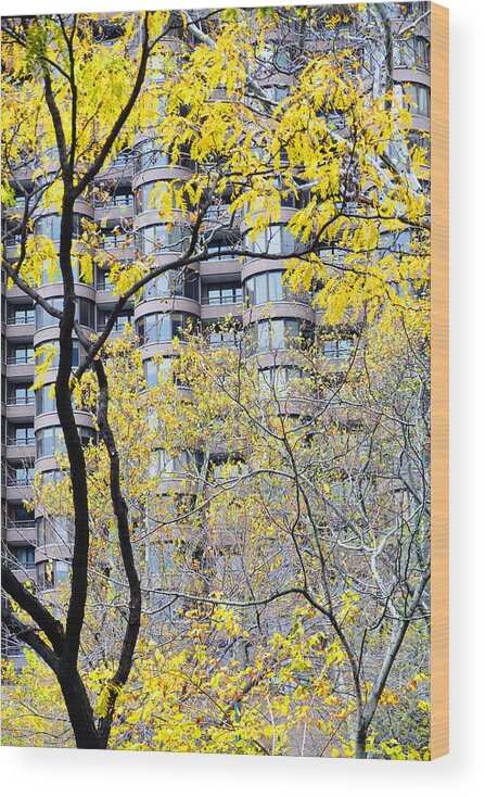Nature Wood Print featuring the photograph Late Autumn - A Murray Hill Impression by Steve Ember