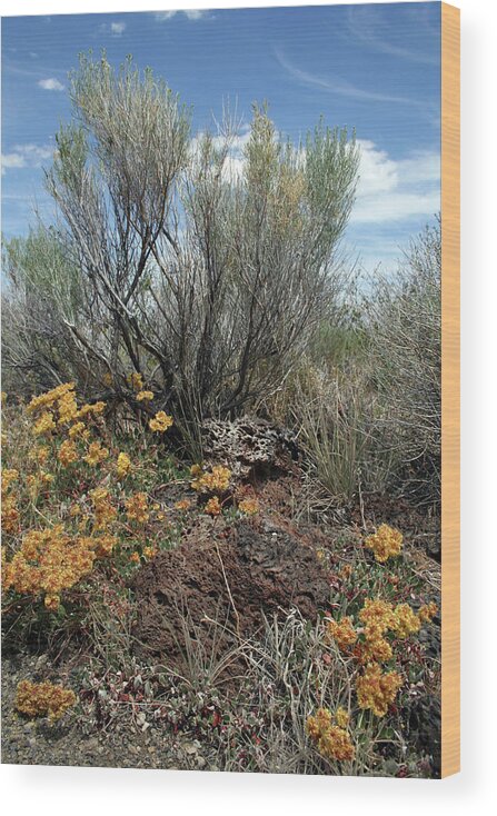 Lava Beds Color Brush Wood Print featuring the photograph Lava Beds Color Brush by Dylan Punke