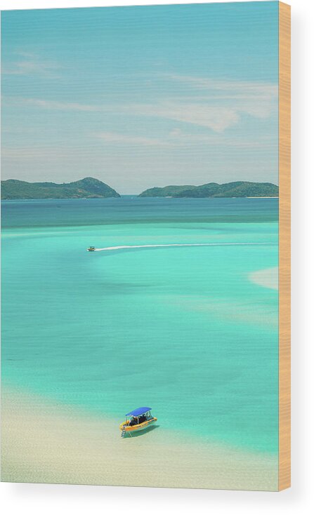 Whitsunday Islands Wood Print featuring the photograph Laxy Dayzey by Az Jackson