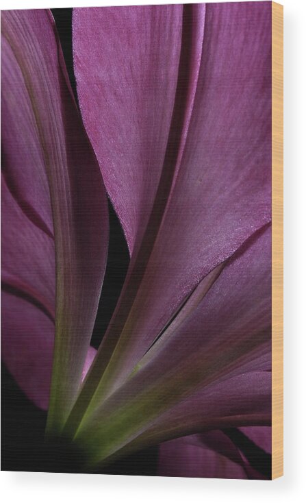 Botanical Wood Print featuring the photograph Lily 4148 by Julie Powell