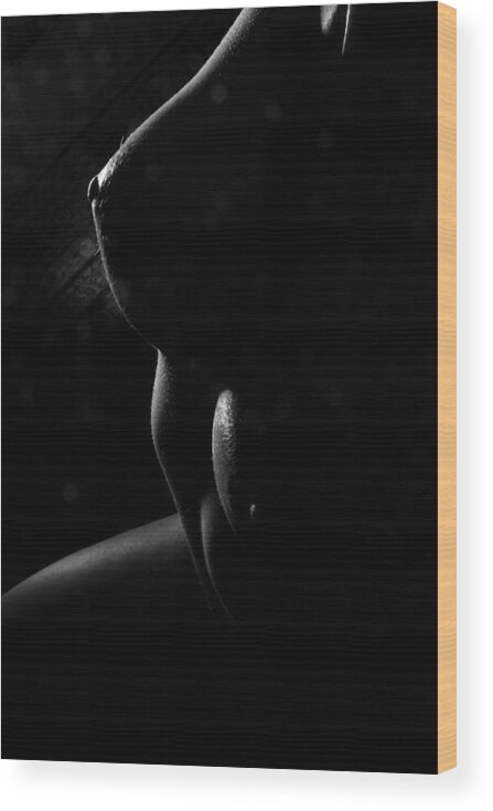 Nude Wood Print featuring the photograph Lines of Light by Joe Kozlowski