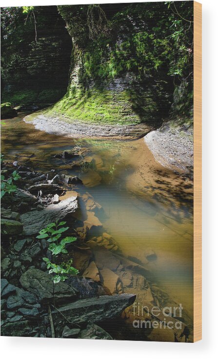 Little Piney Creek Wood Print featuring the photograph Little Piney Creek 2 by Phil Perkins