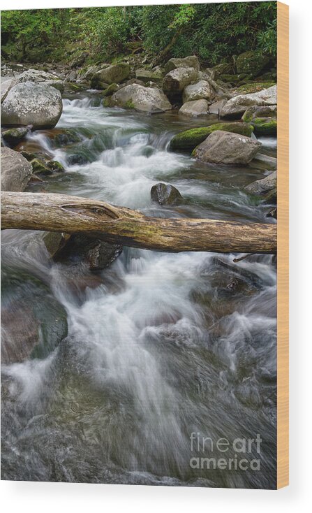 Smokies Wood Print featuring the photograph Little River 2 by Phil Perkins