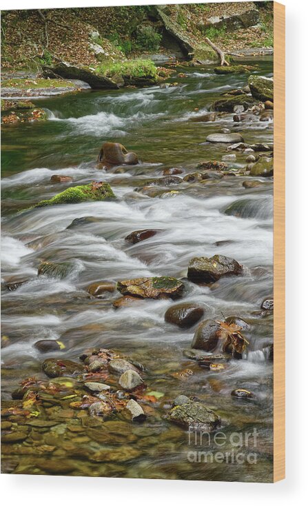 Smokies Wood Print featuring the photograph Little River Rapids 14 by Phil Perkins