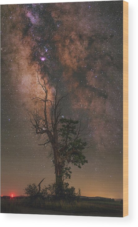 Nightscape Wood Print featuring the photograph Lone Tree by Grant Twiss