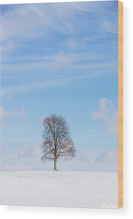 Tree Wood Print featuring the photograph Lone Tree by Joe Holley