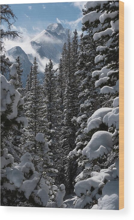 Winter Wood Print featuring the photograph Long's Peak Summit Winter View by Cascade Colors