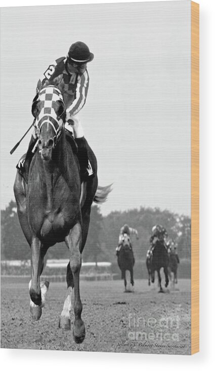 Looking Back Wood Print featuring the painting Looking back, 1973, Secretariat, stretch run, Belmont Stakes by Thomas Pollart