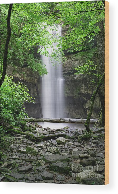 Cumberland Plateau Wood Print featuring the photograph Lost Creek Falls 35 by Phil Perkins