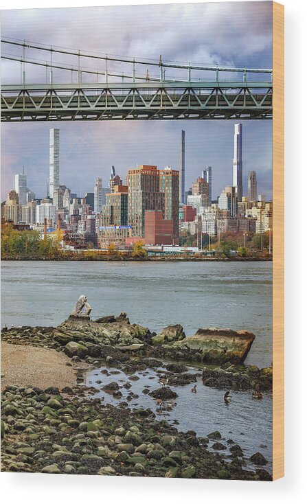 Astoria Park Wood Print featuring the photograph Low Tide on the East River by Cate Franklyn