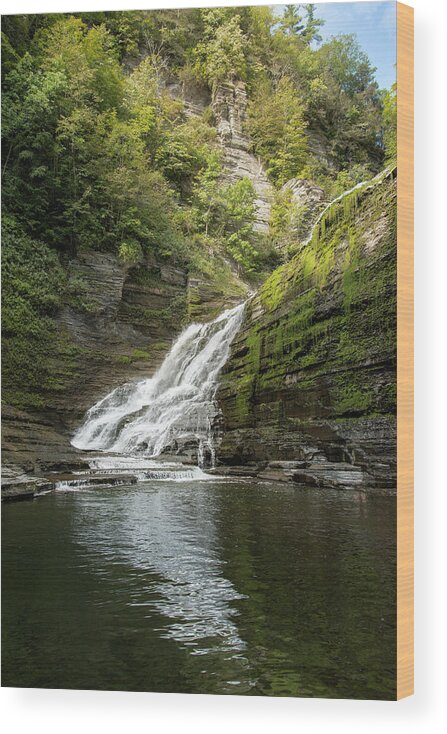 Robert H. Treman State Park Wood Print featuring the photograph Lucifer Falls 5 by Dimitry Papkov