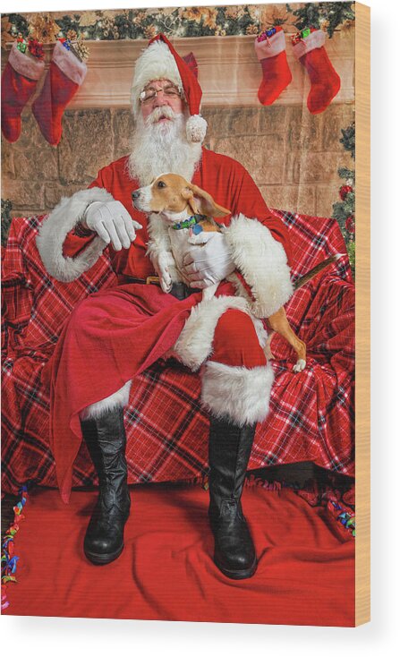 Lucy Wood Print featuring the photograph Lucy with Santa 1 by Christopher Holmes