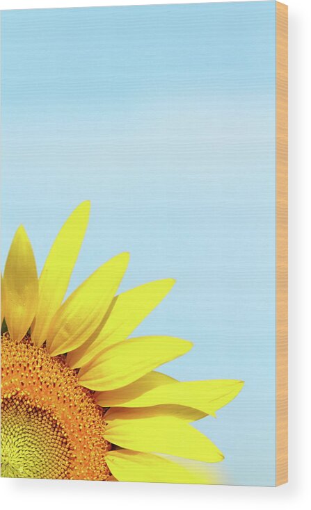 Sunflower Wood Print featuring the photograph Make My Day by Lens Art Photography By Larry Trager