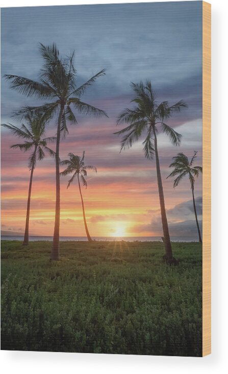 Beach Wood Print featuring the photograph Maui Sunset by Steve Berkley