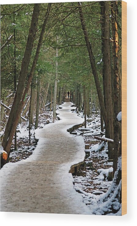 Boardwalk Wood Print featuring the photograph Meandering Winter Boardwalk by Debbie Oppermann