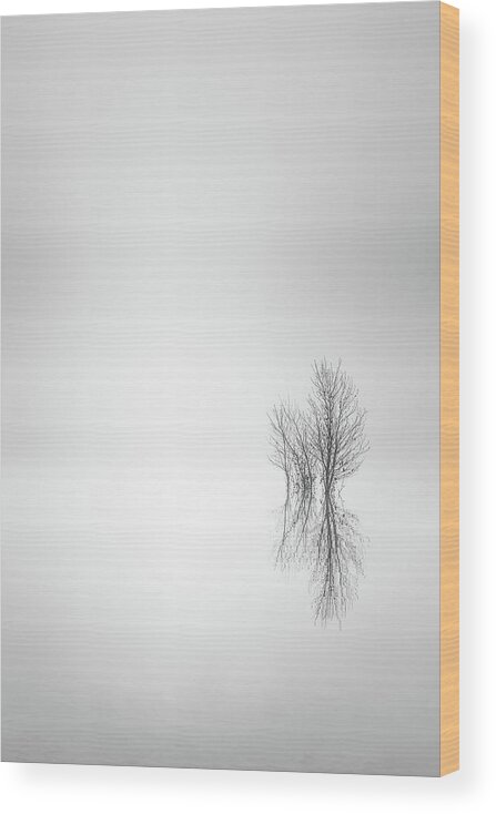 Columbia River Wood Print featuring the photograph Misty Simplicity by Don Schwartz