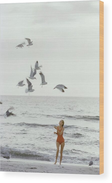Fashion Wood Print featuring the photograph Model on the Beach in a Jantzen Bathing Suit by Bert Stern