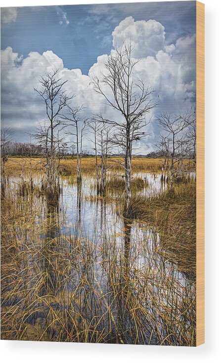 Clouds Wood Print featuring the photograph Morning Everglades in the Fall by Debra and Dave Vanderlaan