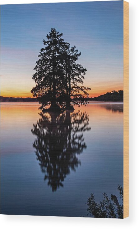 Busch Wildlife Wood Print featuring the photograph Morning Glory at 33 by Joe Kopp