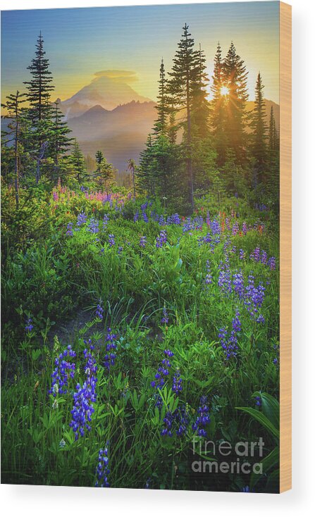 America Wood Print featuring the photograph Mount Rainier Sunburst by Inge Johnsson