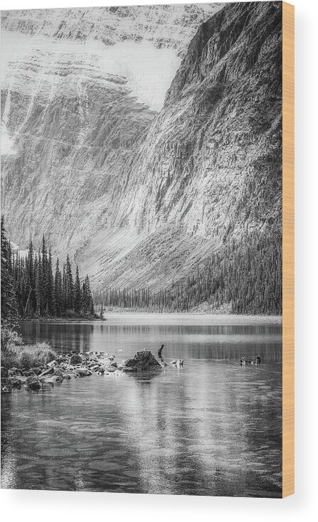 Mountain Lake Vertical Panorama Wood Print featuring the photograph Mountain Lake Vertical Panorama by Dan Sproul