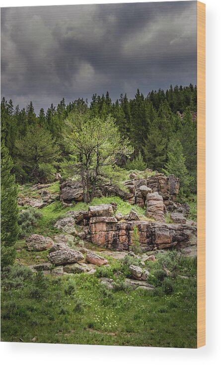 Rocky Outcropping Wood Print featuring the photograph Mountain Oasis by Laura Terriere