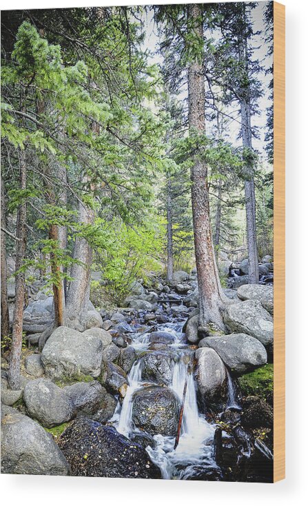 Nature Wood Print featuring the photograph Mountain River Serenity by Lincoln Rogers