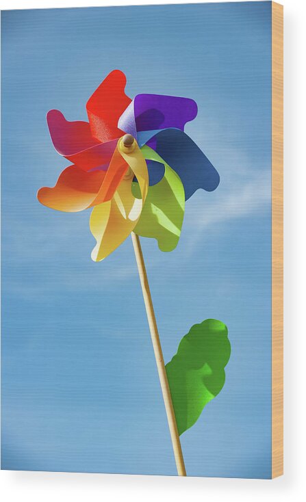 Multi-coloured Windmill Wood Print featuring the photograph Multi-coloured Windmill v by Helen Jackson