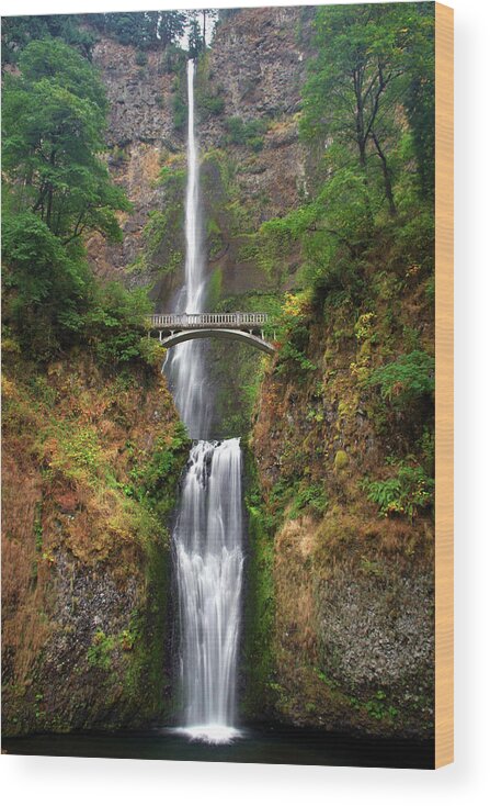 Waterfall Wood Print featuring the photograph Multnomah Falls Portrait by Douglas Taylor