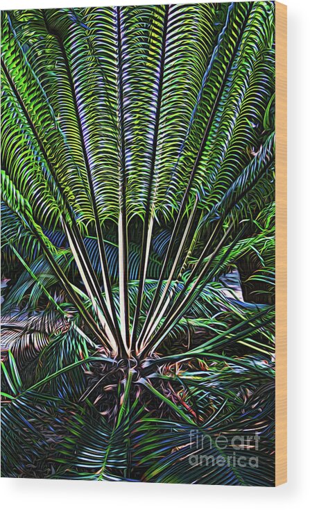 Art Wood Print featuring the photograph Mystical Ferns by Roslyn Wilkins