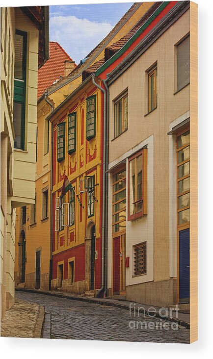 Old Wood Print featuring the photograph Narrow street with colorful old town houses by Mendelex Photography