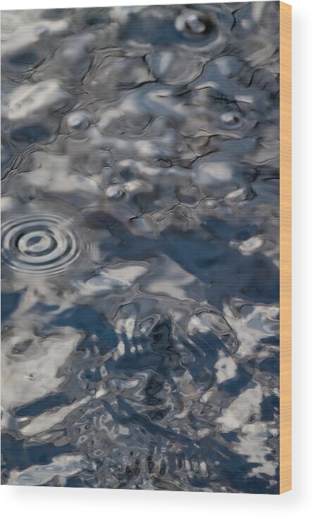 Bubbles Wood Print featuring the photograph Natural Abstract in Blue and Silver by Linda Bonaccorsi