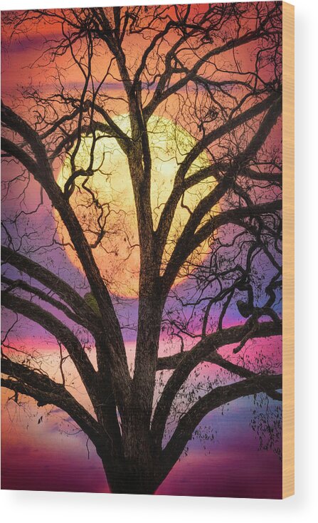 Carolina Wood Print featuring the photograph Nature in Stained Glass by Debra and Dave Vanderlaan