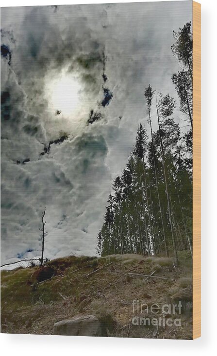 Clouds Wood Print featuring the photograph Nemesis Nebula by Alexandra Vusir