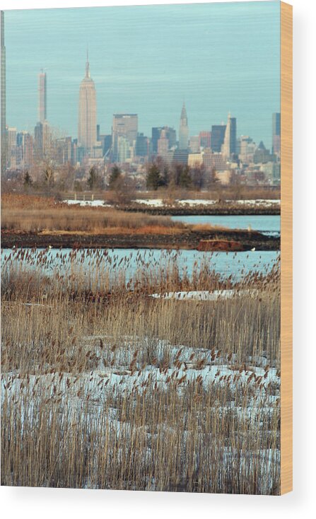 New York City Wood Print featuring the photograph New york city from liberty state park NJ by Habib Ayat