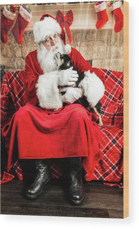 Newt Wood Print featuring the photograph Newt with Santa 1 by Christopher Holmes
