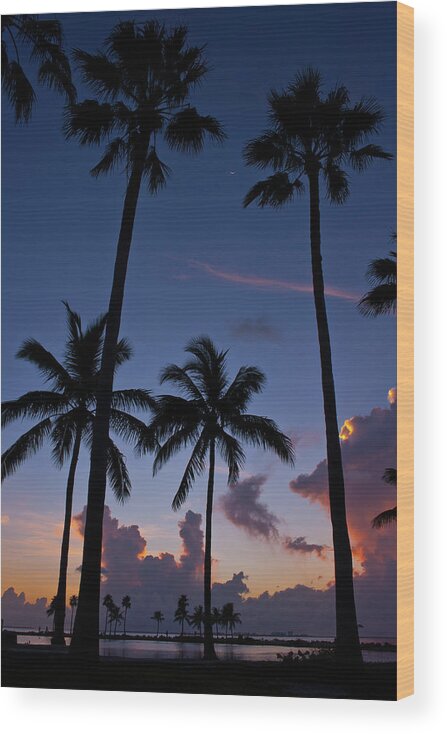 Sunsets Wood Print featuring the photograph No stress by Edgar Estrada