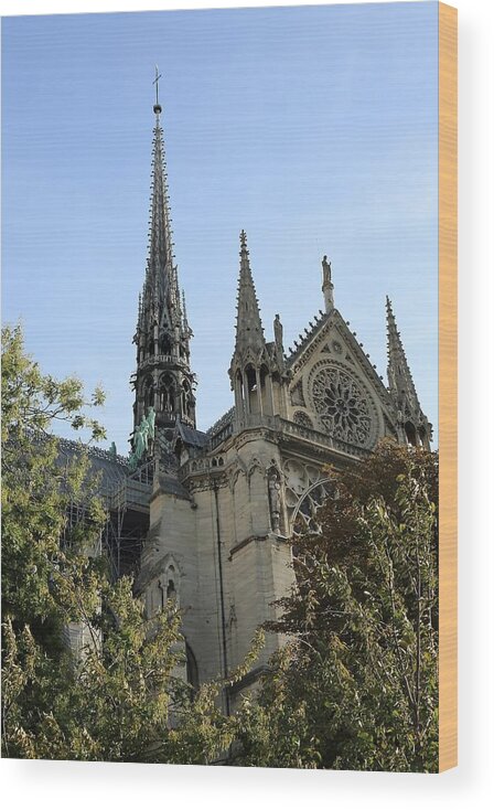 Notre-dame De Paris Wood Print featuring the photograph Notre-Dame de Paris 5 by Mingming Jiang