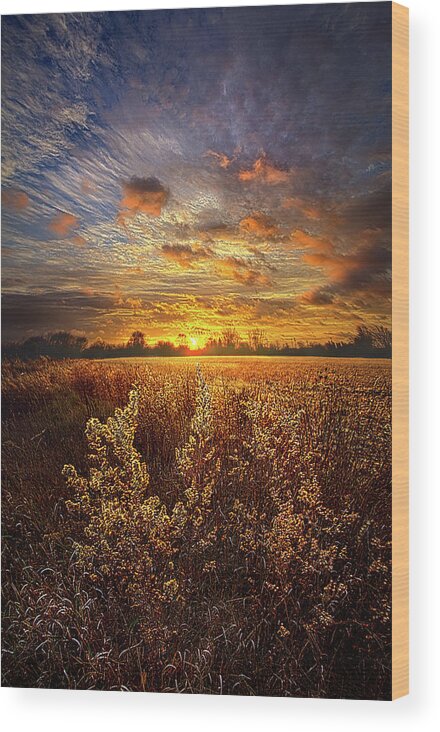 Life Wood Print featuring the photograph Now and Forever by Phil Koch
