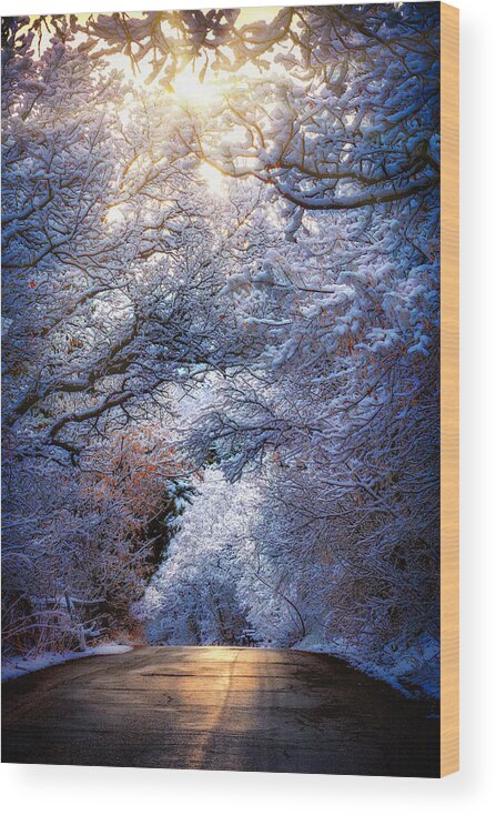 Ogden Wood Print featuring the photograph Ogden Snow Tunnel by Michael Ash