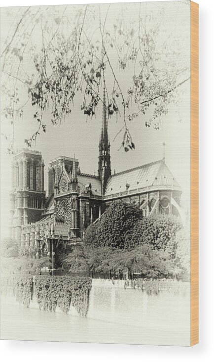 Notre Dame Wood Print featuring the photograph Old Notre Dame Cathedral by Michael Hope