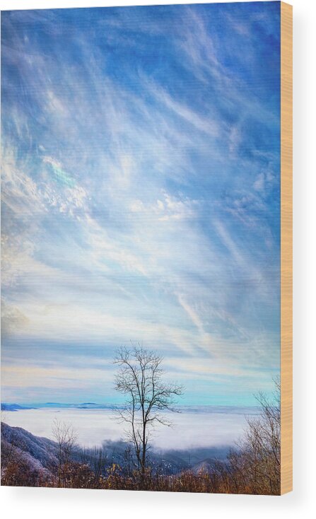 Carolina Wood Print featuring the photograph On the Edge of the Blue Ridge Mountains by Debra and Dave Vanderlaan