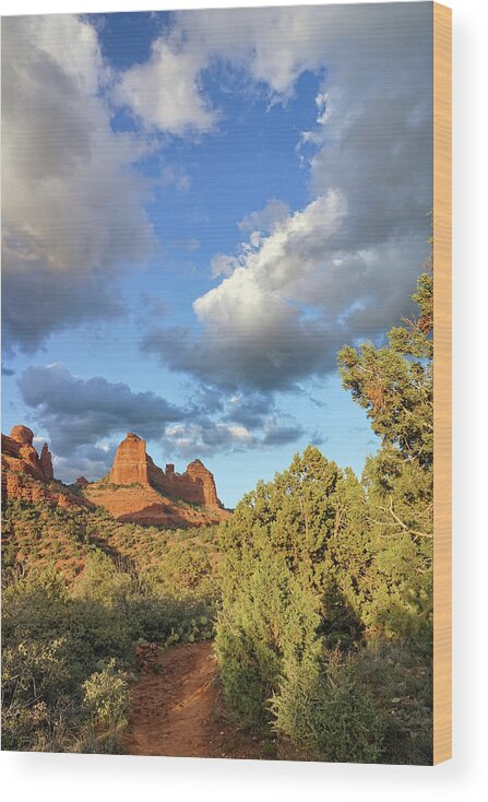Sedona Wood Print featuring the photograph On the Trail by Leda Robertson
