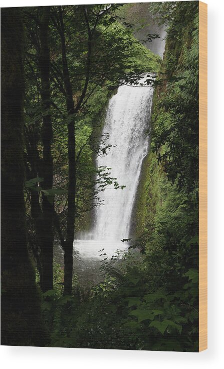 Waterfall Wood Print featuring the photograph Oregon Drop by Jim Whitley