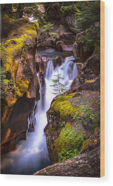 Avalanche Gorge Wood Print featuring the photograph Out On A Ledge by Ryan Smith